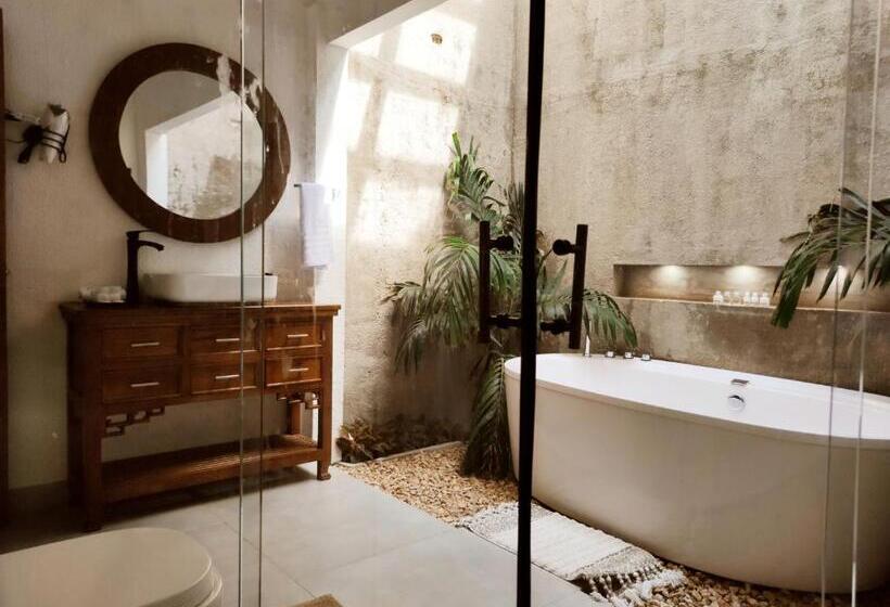 סוויטה דלוקס, Literatium