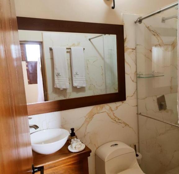 חדר סטנדרט, Literatium