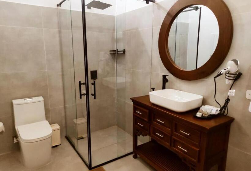 סוויטה דלוקס, Literatium