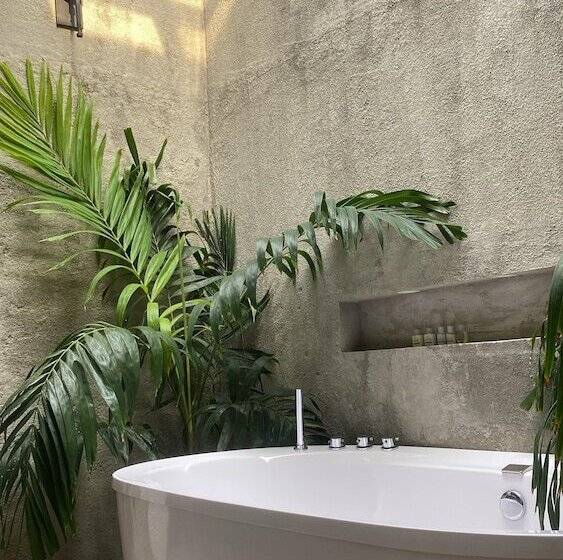 סוויטה דלוקס, Literatium