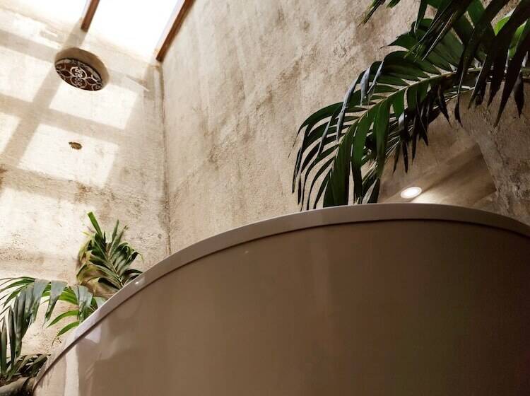 סוויטה דלוקס, Literatium