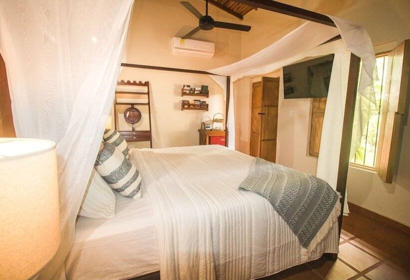 סוויטה דלוקס, Literatium