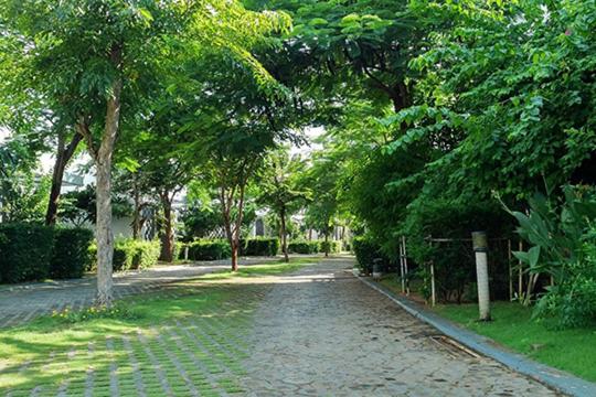 سوییت اجرایی, Lovely Room Oceanami Resort