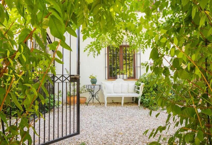 اتاق استاندارد, Cubo S 1 Room La Cimada Near Ronda