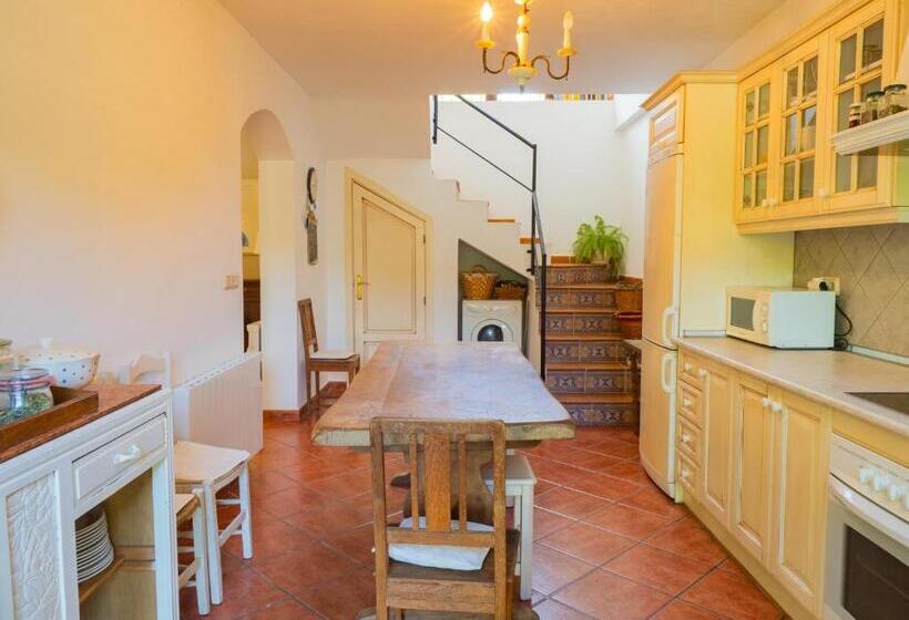 اتاق استاندارد چهار تخته, Cubo S 2 Rooms La Cimada Near Ronda