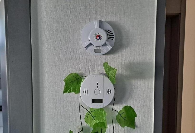 标准单人间, Yolo House