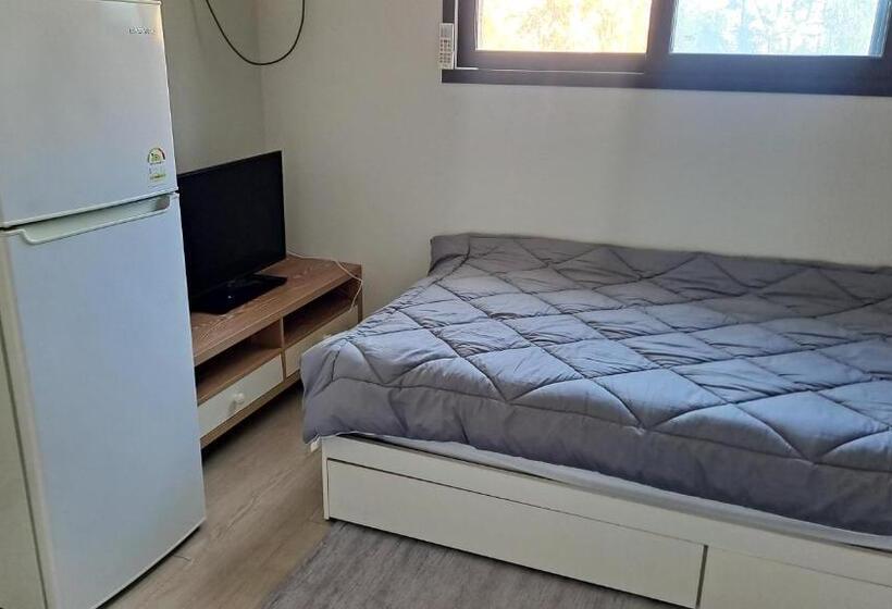 标准单人间, Yolo House