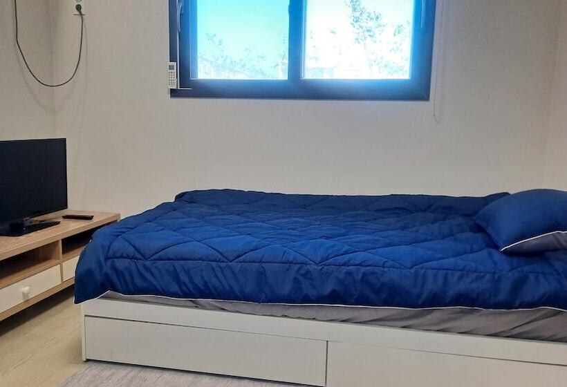 标准单人间, Yolo House