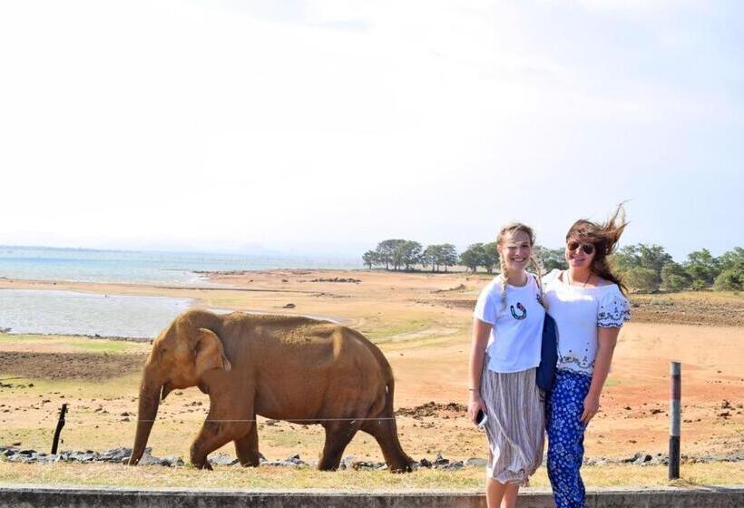 Номер Superior, The Grand Villa