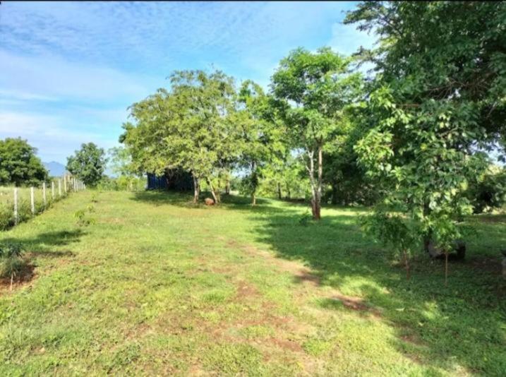 Семейный Номер Вид на Сад, The Grand Villa