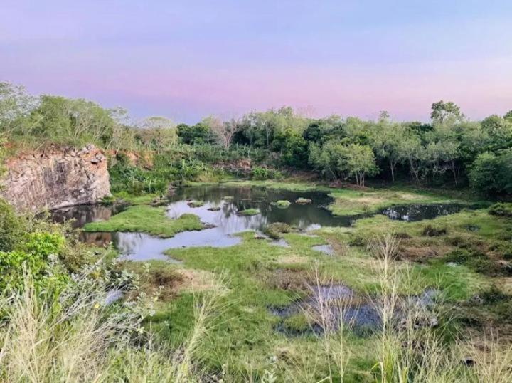 Семейный Номер Вид на Сад, The Grand Villa