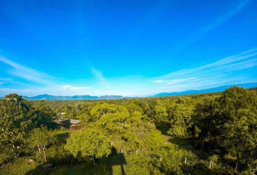 Семейный Номер Вид на Сад, The Grand Villa