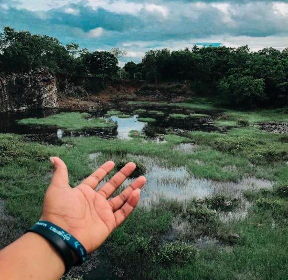 Семейный Номер Вид на Сад, The Grand Villa