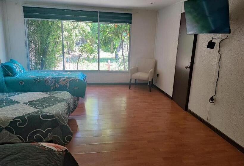 اتاق استاندارد چهارنفره با چشم‌انداز باغ, Hostal Fernanda