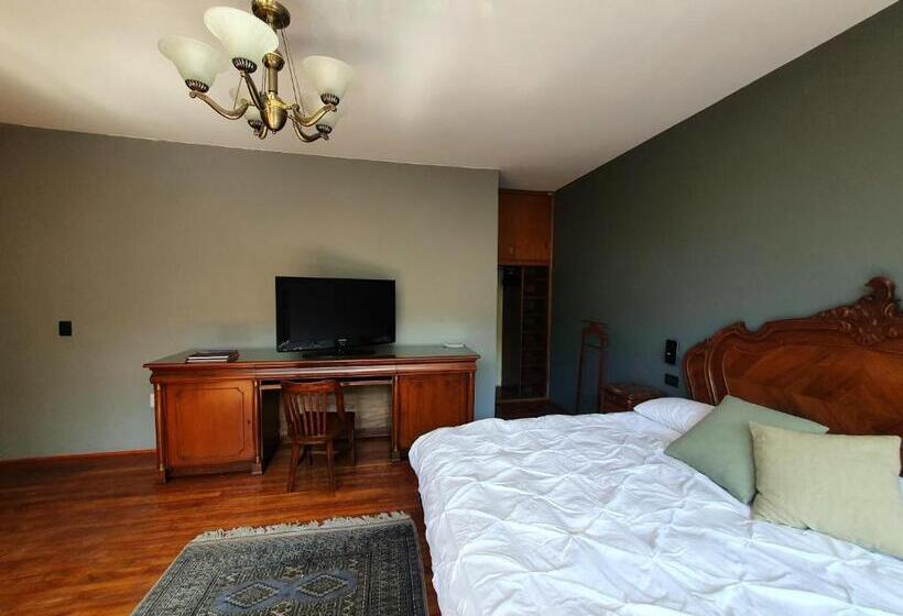 اتاق استاندارد با تخت بزرگ, Lindas Suites Eugenio Sue