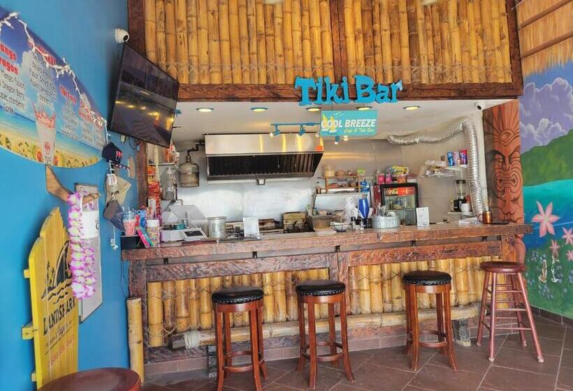 إستوديو قياسى مطل على البحر, Beautiful Oceanview Condo With 75 Inch Tv