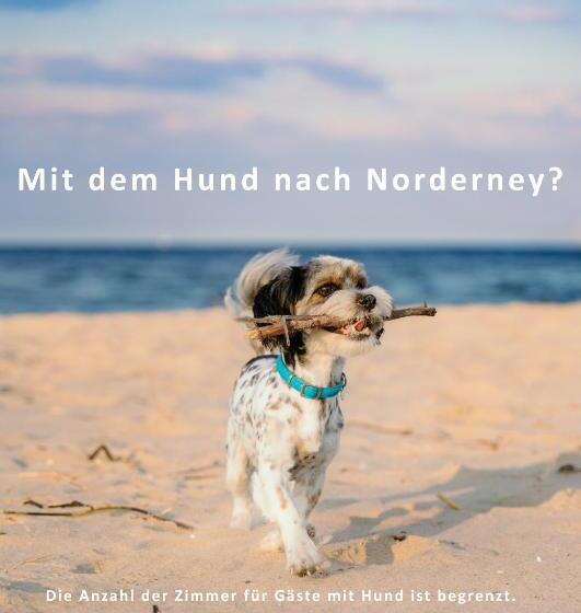 스탠다드 싱글 룸, Gästehaus Gelsenkirchen