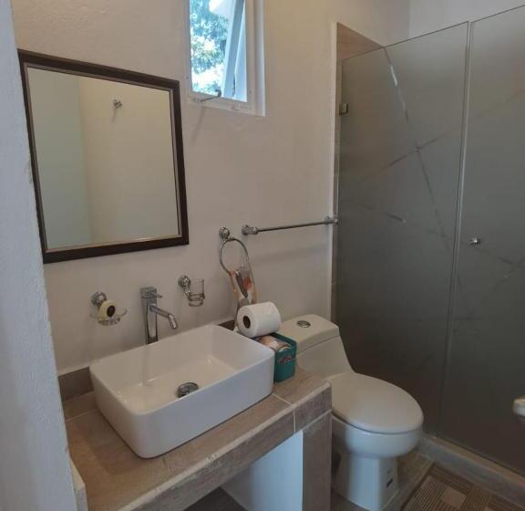 غرفة قياسية, Valparaíso Selva Maya