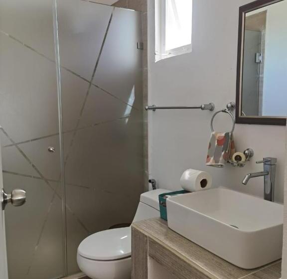 غرفة قياسية, Valparaíso Selva Maya