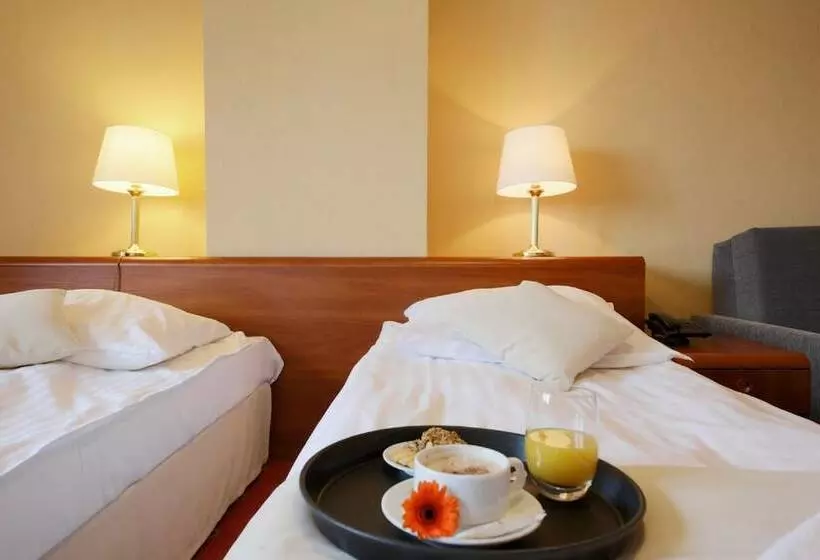 Standard-huone, Dwór Bogucin Hotel&restauracja