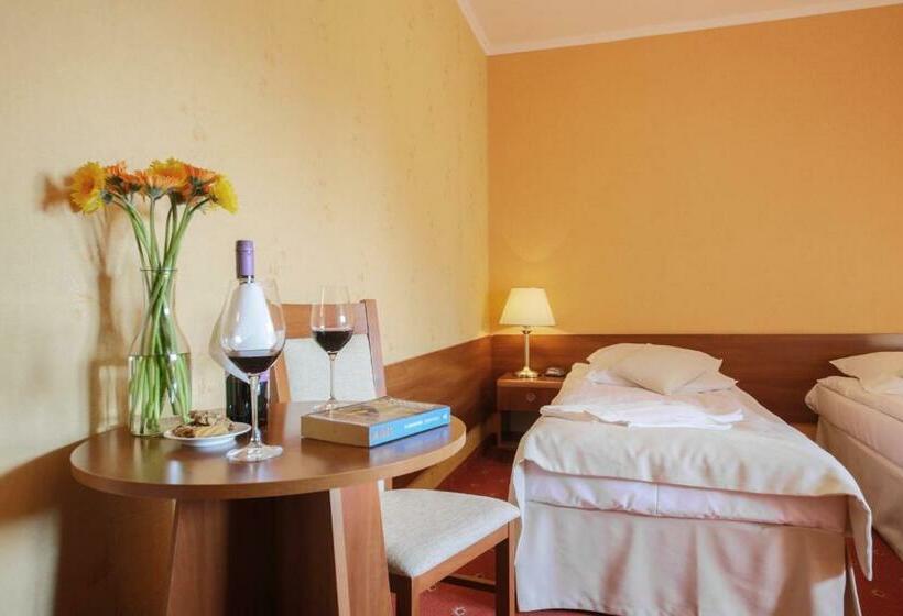 Номер Стандарт, Dwór Bogucin Hotel&restauracja