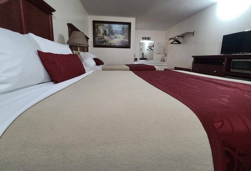 豪华房间, Homestead Motel