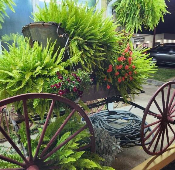 Superior Oda, Homestead Motel