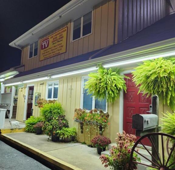 高级大房间, Homestead Motel