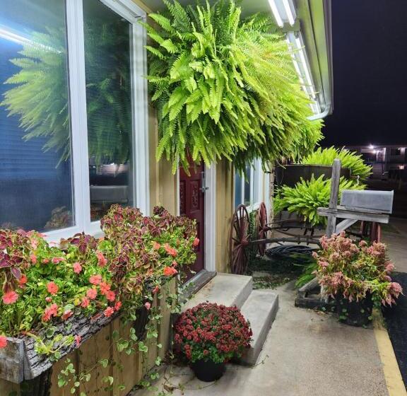 Delüks Oda, Homestead Motel