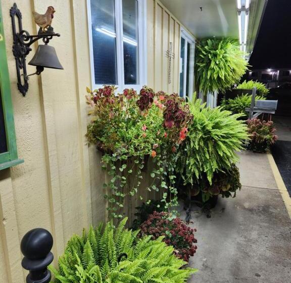 Delüks Oda, Homestead Motel