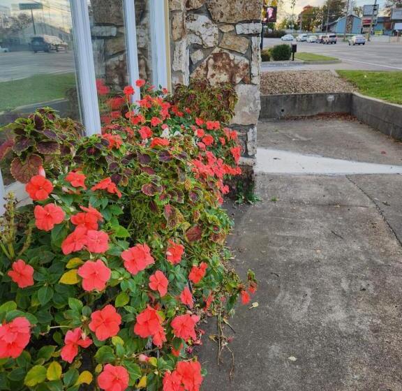 Delüks Oda, Homestead Motel