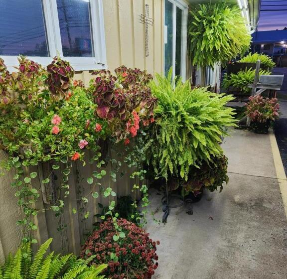 Delüks Oda, Homestead Motel