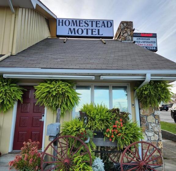 Delüks Oda, Homestead Motel