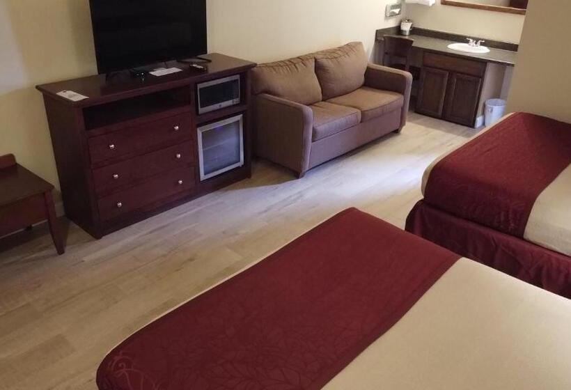 高级大房间, Homestead Motel