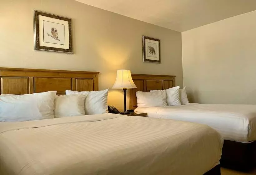 スイート, Arizona Sunset Inn