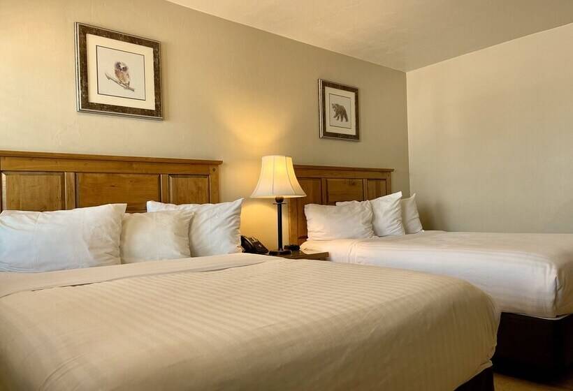 스탠다드 룸, Arizona Sunset Inn