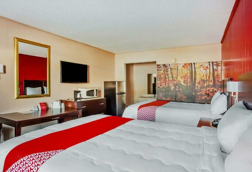 Номер Стандарт, Carolina Lodge