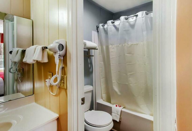 Номер Стандарт, Carolina Lodge