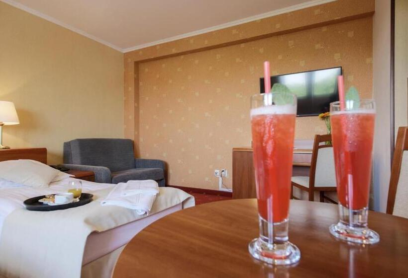 ファミリールーム, Dwór Bogucin Hotel&restauracja