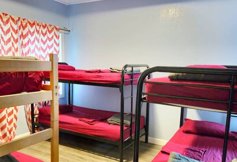 Bed in een Gedeelde Kamer, European Hostel