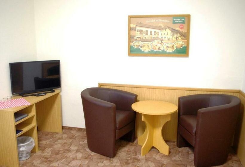 スタンダードルーム, Gasthof Zum Walfisch