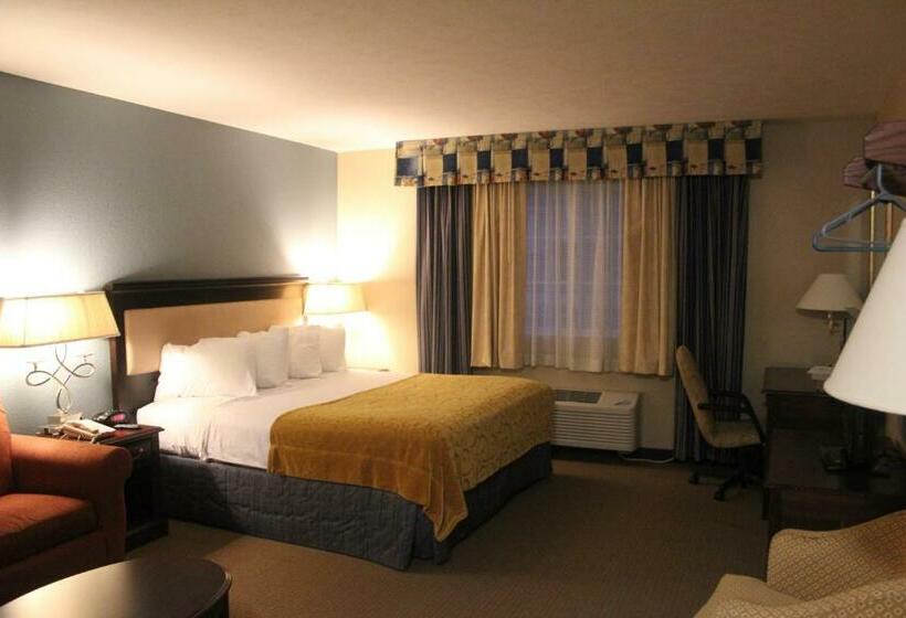 シングルデラックスルーム, Green Acres