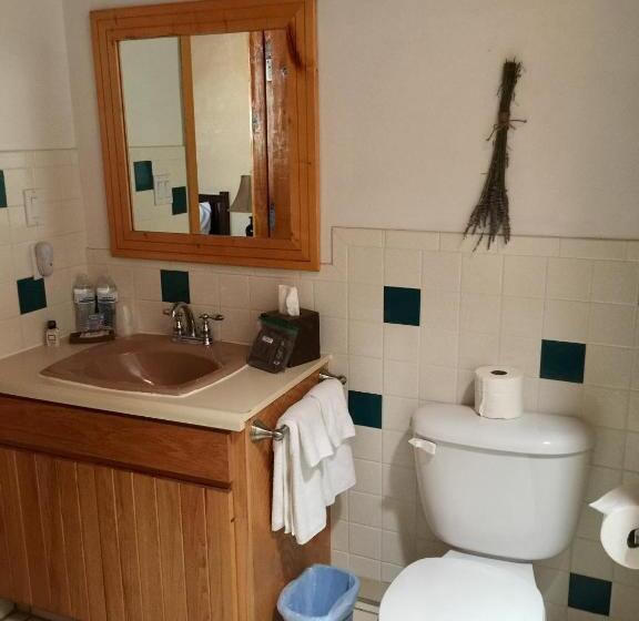 小型豪华套房, Guadalupe Inn