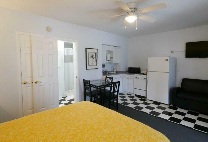 إستوديو قياسى مطل على البحر, Sabal Palms Inn