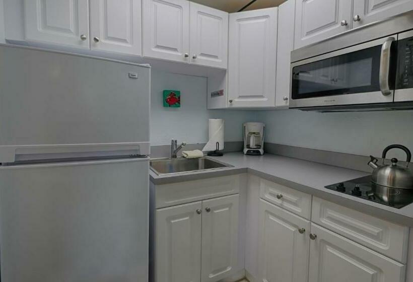 إستوديو قياسى مطل على البحر, Sabal Palms Inn