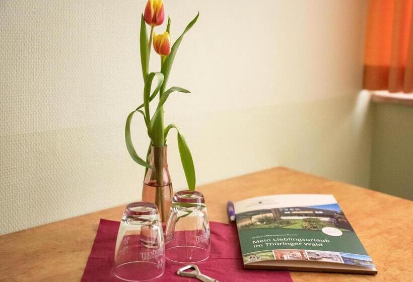 Номер Стандарт, Thüringenschanze