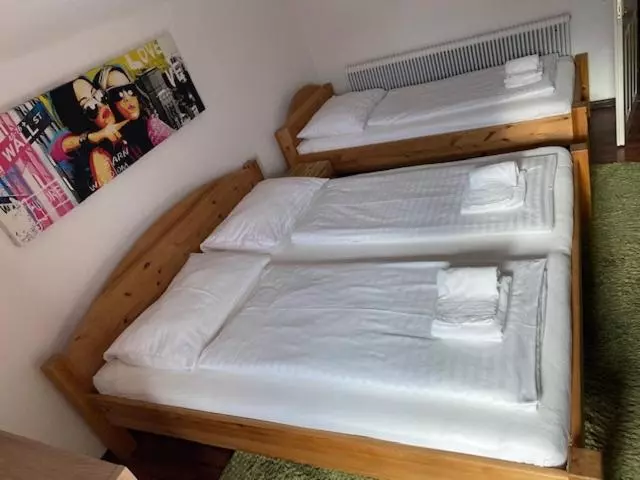 اتاق خانوادگی, Wildschütz Basic