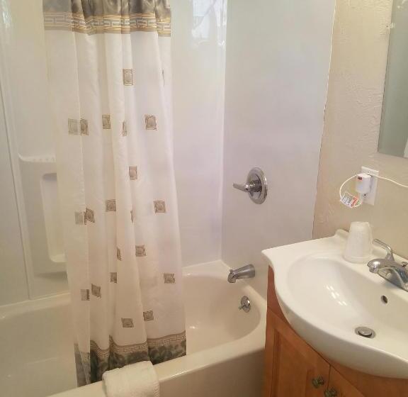 带大床的豪华间, Windrift Motel