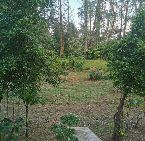 标准房带园景, Neverland Beach Village Bungalows