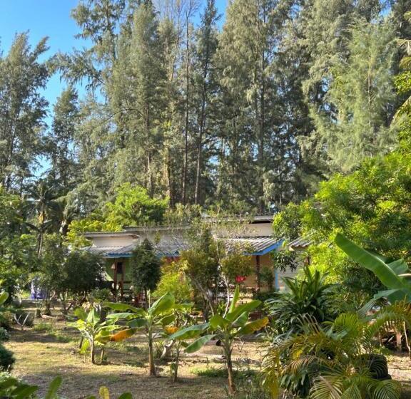 标准房带园景, Neverland Beach Village Bungalows